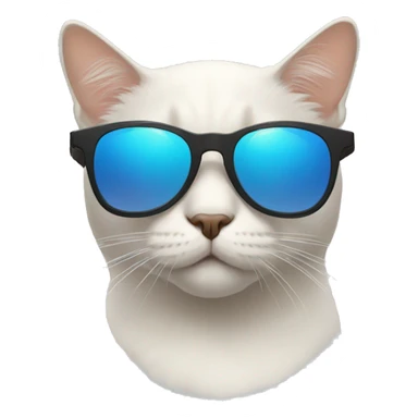 a cat with transparent sunglasses  sticker