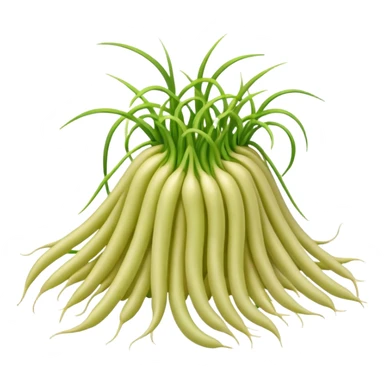 Bean sprouts laid sticker