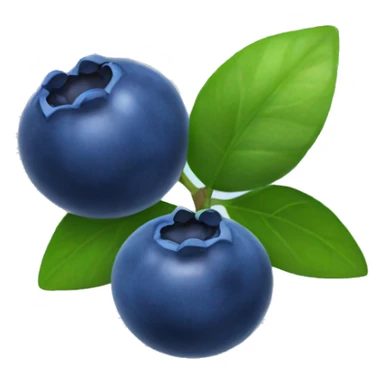 Blueberries  sticker