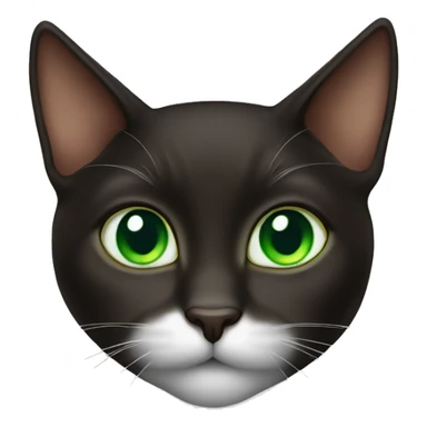 Cute Dark brown Tuxedo cat with green eyes sticker