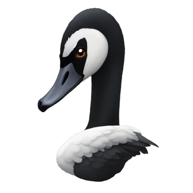 A black swan sticker