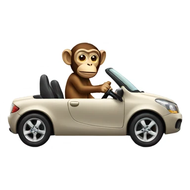 Monkey driving a car sticker