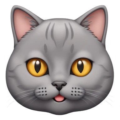 British short-hair cat with a silly face sticker