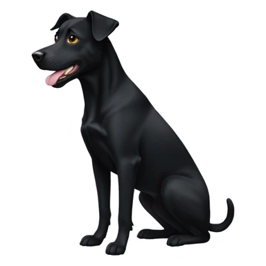 Black Kelpie labrador mix sticker