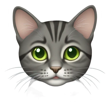 tabby dark gray cat with light green eyes sticker