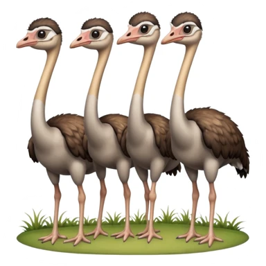 ostriches sticker