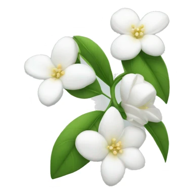 White beautiful jasmine flower sticker