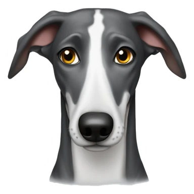 Galgo con charco pis  sticker