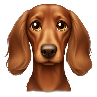 Very very sad Long-haired brown-reddish dachshund with brown nose sticker