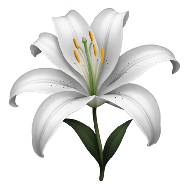 an outline of one singular lily flower, no colour,just outline sticker