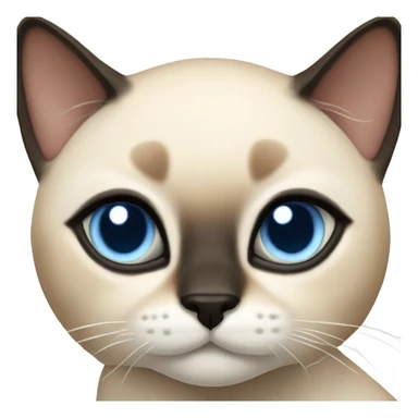 Flame siamese cat blue eyes sticker