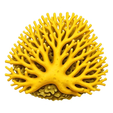 yellow Corals sticker