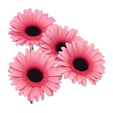 3 gerberas sticker
