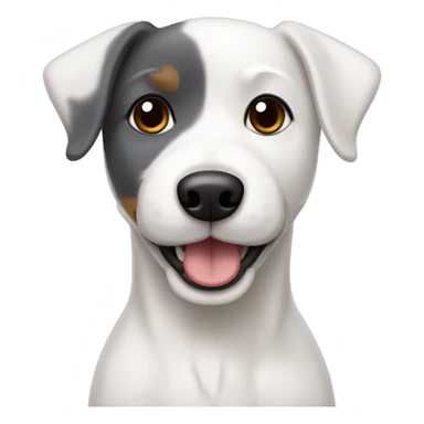 white dog with dark gray ears, mixed breed Jack Russel and bichon frize sticker