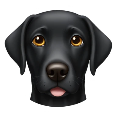Black lab with blue eye brown eye sticker