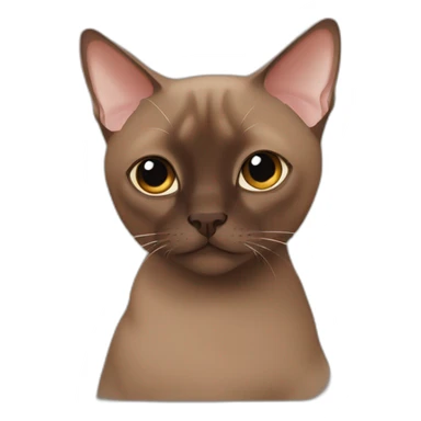 chocolate tonkinese cat sticker