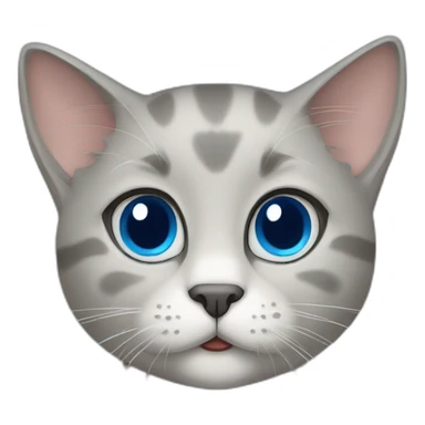 Greige cat with blue ete sticker