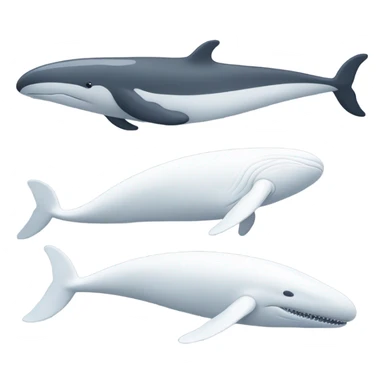 white whale , underside sticker
