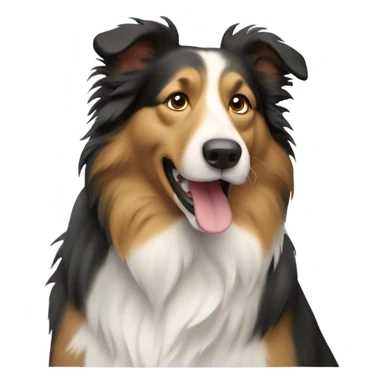 Collie dog sticker