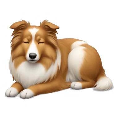 sleeping shetland sheepdog sticker