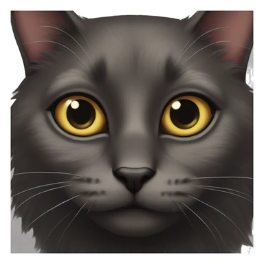 Black cat with hazel eyes sticker