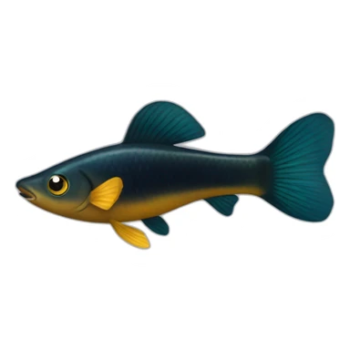Black guppy sticker
