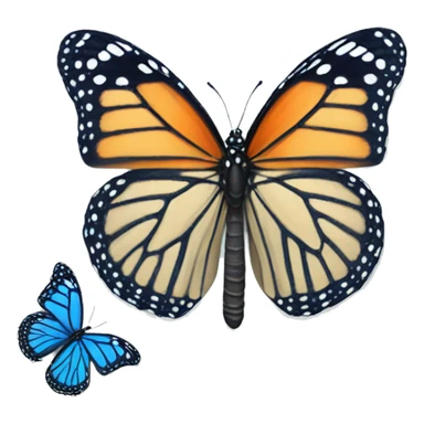 beautiful  blue monarch butterfly sticker