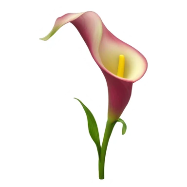 Flower of calla sticker