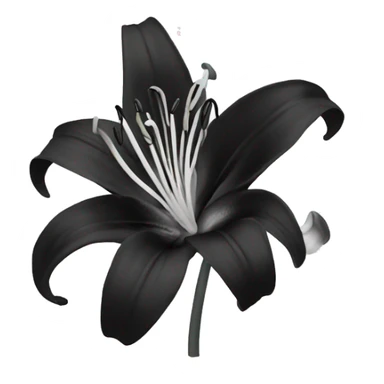 black and white lily sticker