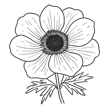 hand drawn anemone flower doodle sticker