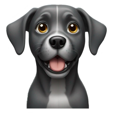 Dark Grey dog begging sticker