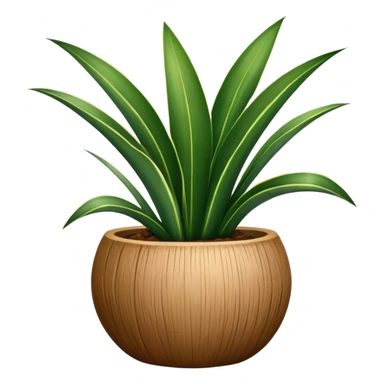 Sansevieria plant in round coconut pot sticker