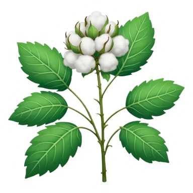 cotten plant sticker