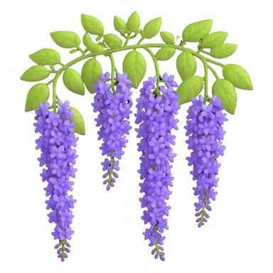 Realistic hanging wisteria racemes with detailed grape-like clusters of lavender flowers cascading downward, accompanied by light green compound leaves sticker