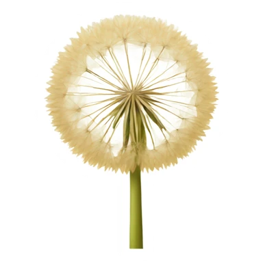 Beige dandelion sticker