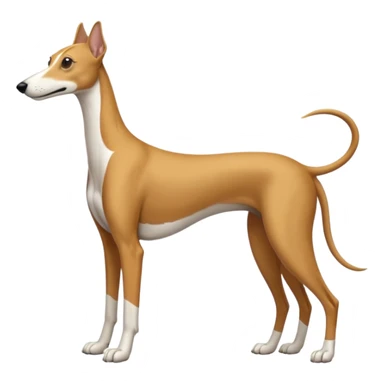 galgo sticker