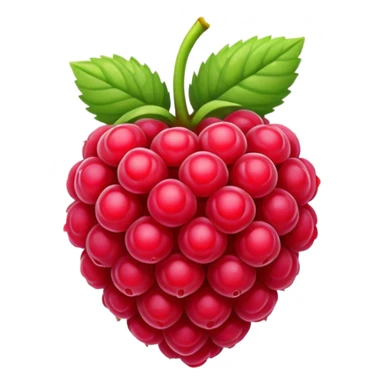 raspberry sticker
