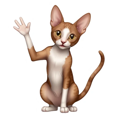 brown colored cornish rex cat waving sticker