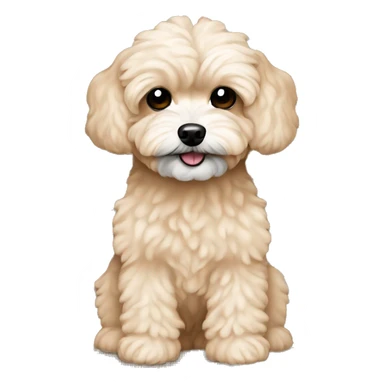 skin color maltipoo sticker