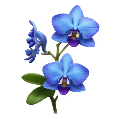 Blue orchids sticker