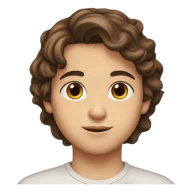 is a tenn Syrian boy with brown small eyes and brown hair his cheeks are red and beautiful sticker