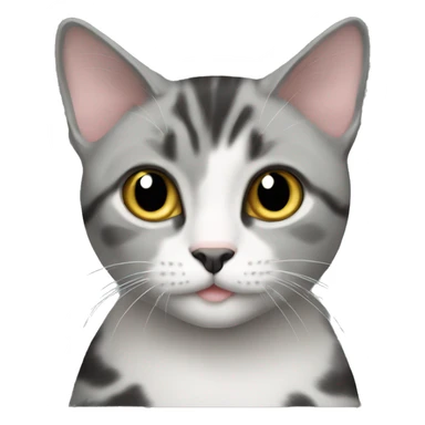 Domestic short hair cat grey black sticker