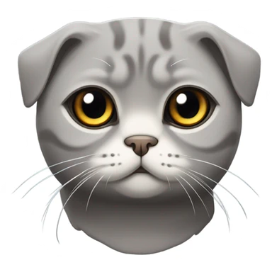 Grey cat scottish fold sticker