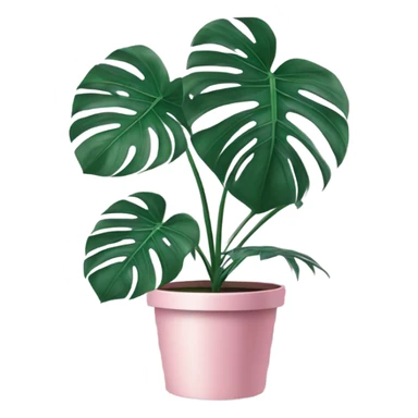 violet color Monstera flower in a pink-colored pot sticker