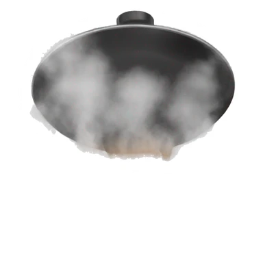 steam for cooking sticker