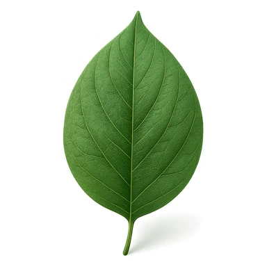 a single green leaf, realistic style, with visible veins and a slight shadow sticker