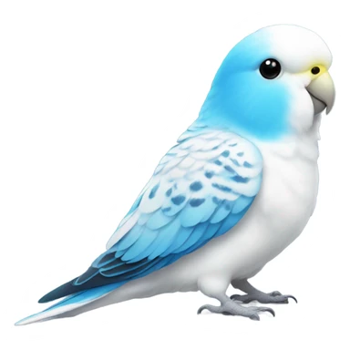 White budgie with blue chest sticker