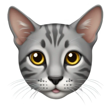 Serengeti cat sitting grey sticker