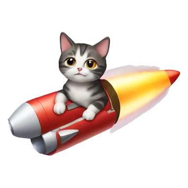 tiny cat riding a rocket sticker