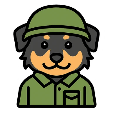 black-tri Mini American Shepherd in a camo green soldier uniform and green helmet sticker